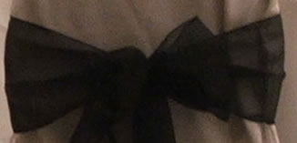 Organza Sash