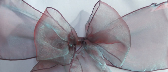 Organza Sash