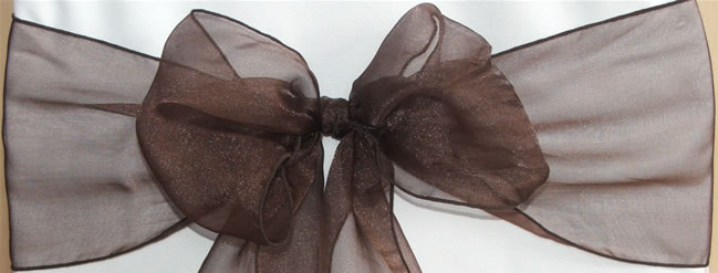 Organza Sash