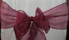 Organza Sash