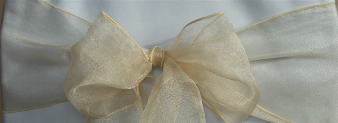 Organza Sash
