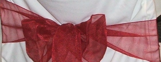 Organza Sash