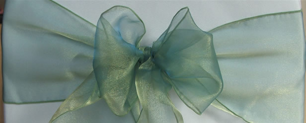 Organza Sash