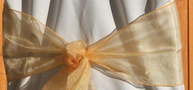Organza Sash