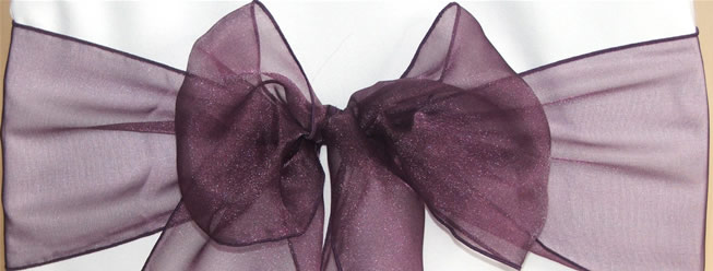 Organza Sash