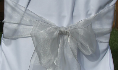 Organza Sash