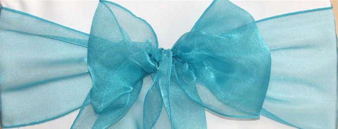 Organza Sash